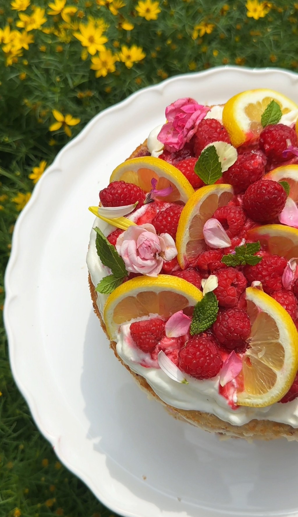 Raspberry Lime Cake with Mascarpone Vanilla Frosting
